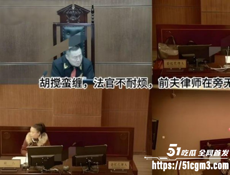 B站网红飞社长嫖娼视频011