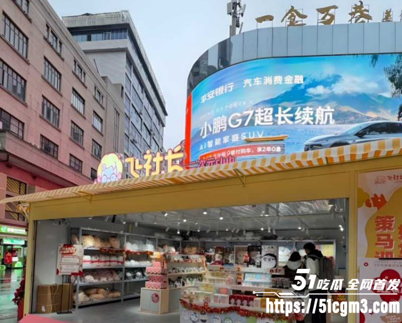 B站网红飞社长嫖娼视频09