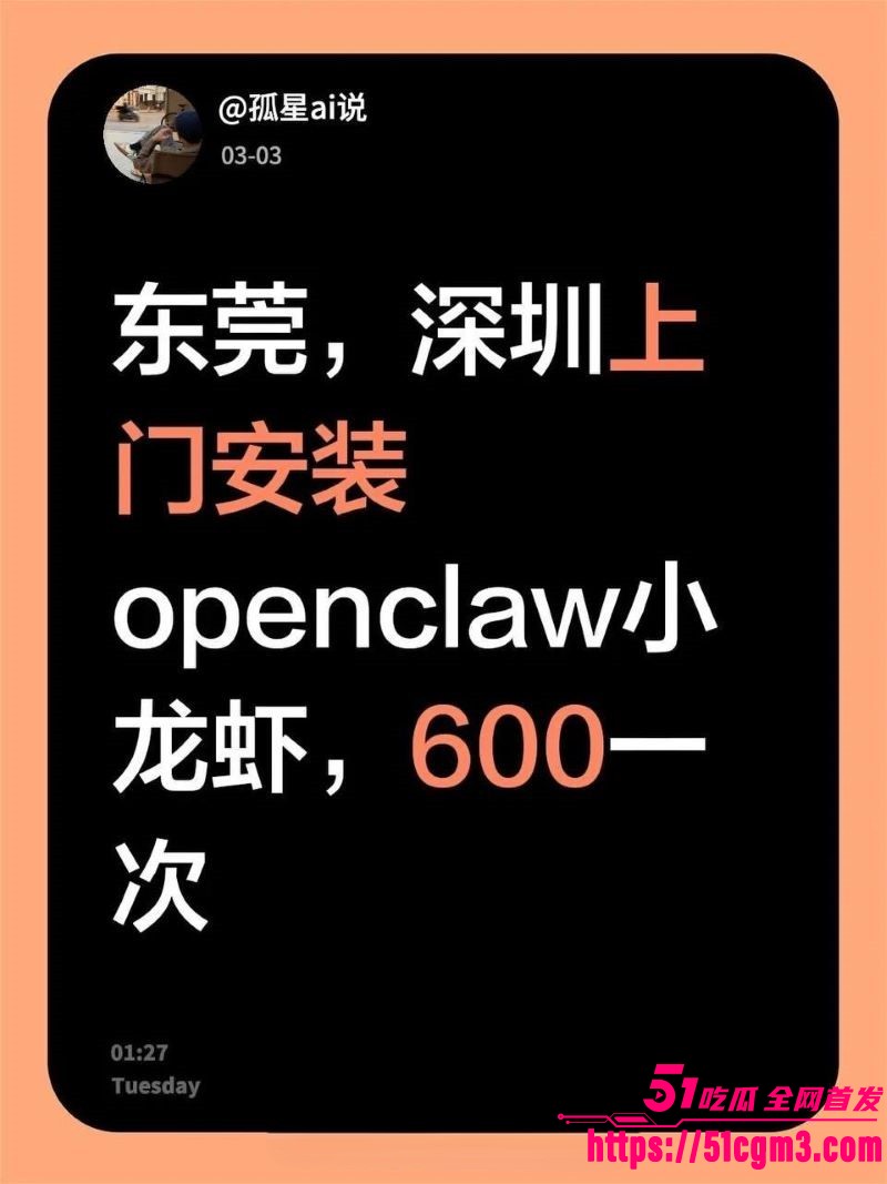 OpenClaw上门安装暗藏玄机 7