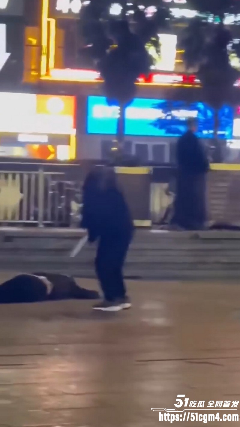 贵阳花果园1号楼下惊魂砍杀 2