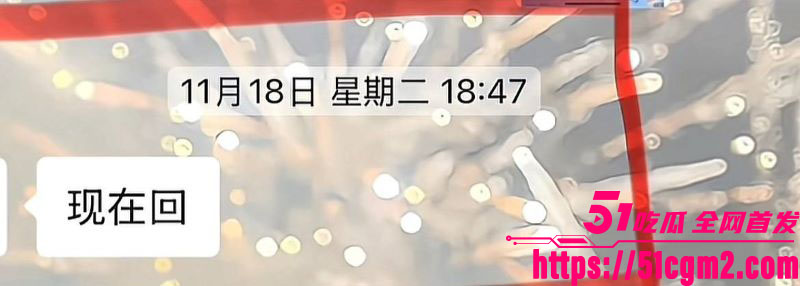 武汉V5馆慕艺斯窗帘老板娘陈玉七年偷情实锤 16
