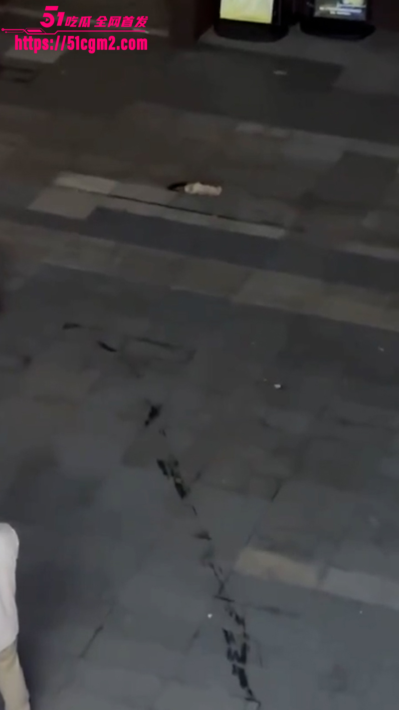 无辜外卖小哥撞飞贵妇爱犬 6