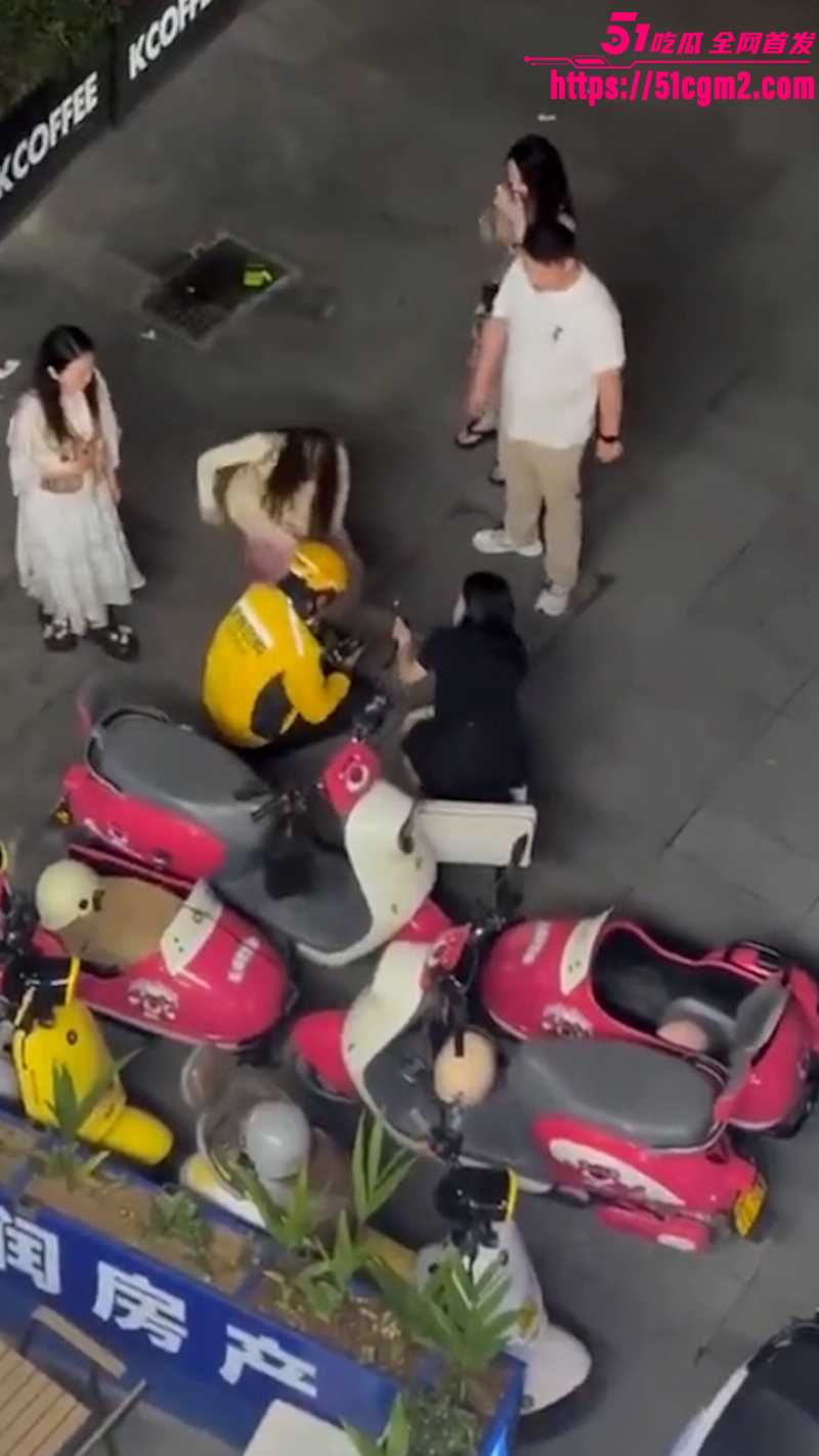 无辜外卖小哥撞飞贵妇爱犬 4