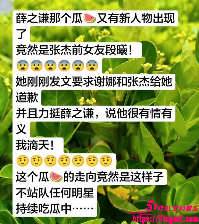 张杰前女友段曦被出轨事件 19
