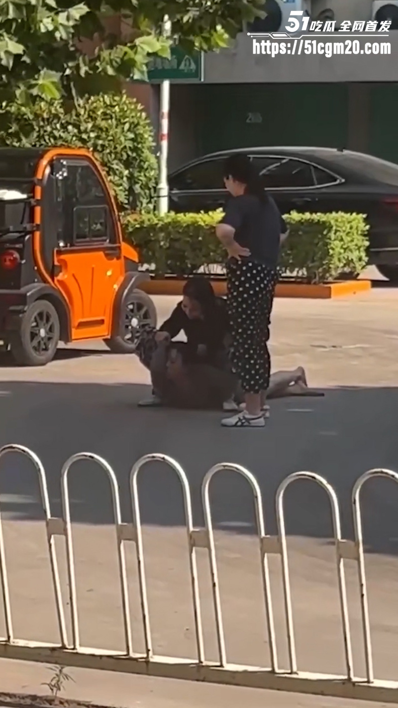 正妻马路怒揍小三 6
