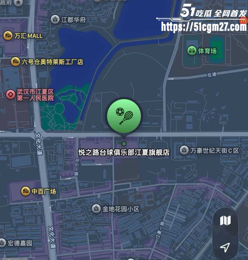 武汉江夏区悦之路台球厅 再曝扫黄大瓜 近60位女助教全被带走 球友曝出双飞私拍！
