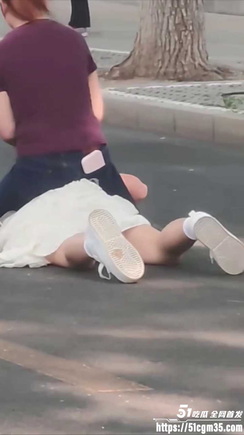紫衣大妈街头暴揍白裙美女5