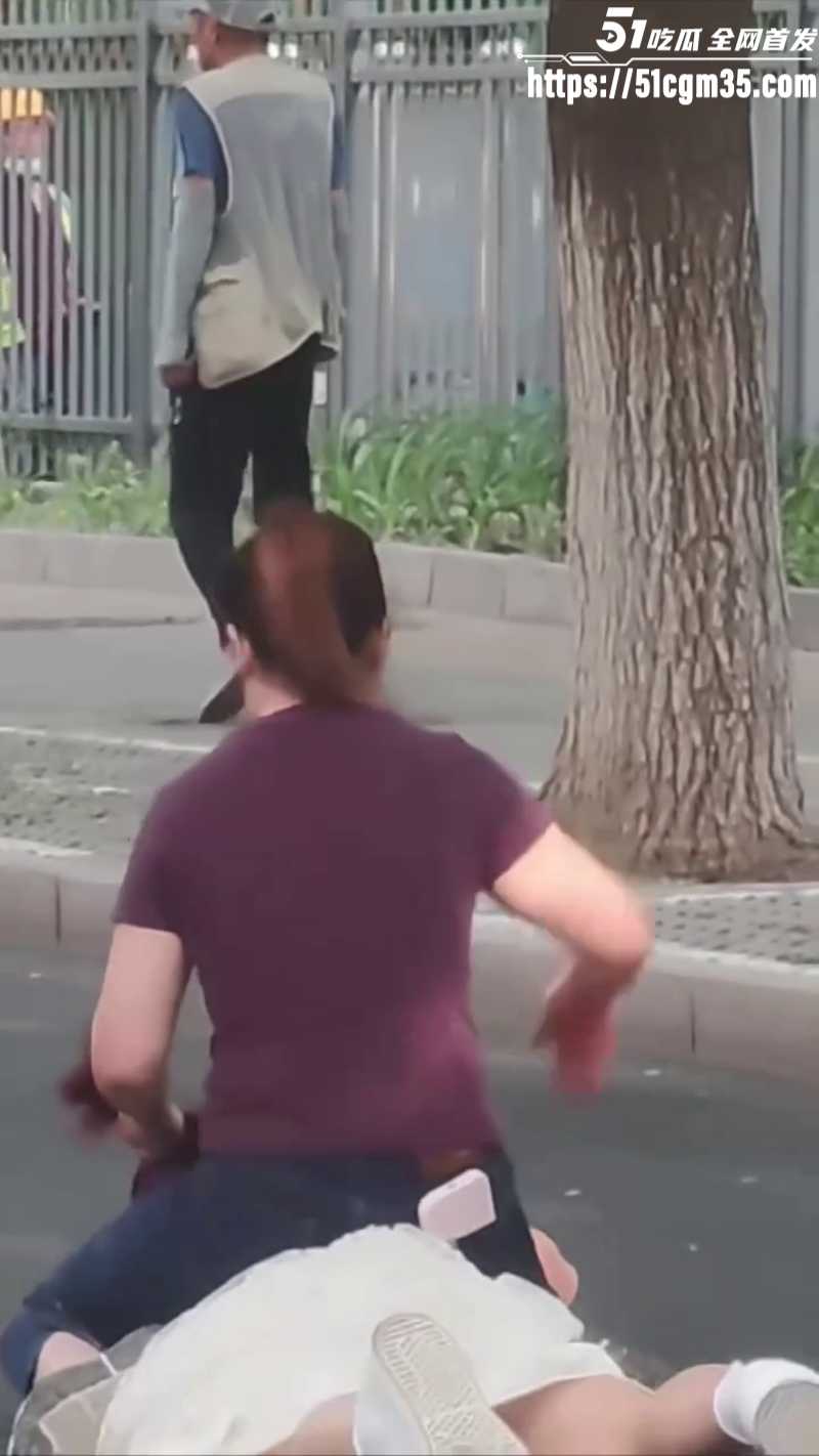 紫衣大妈街头暴揍白裙美女6