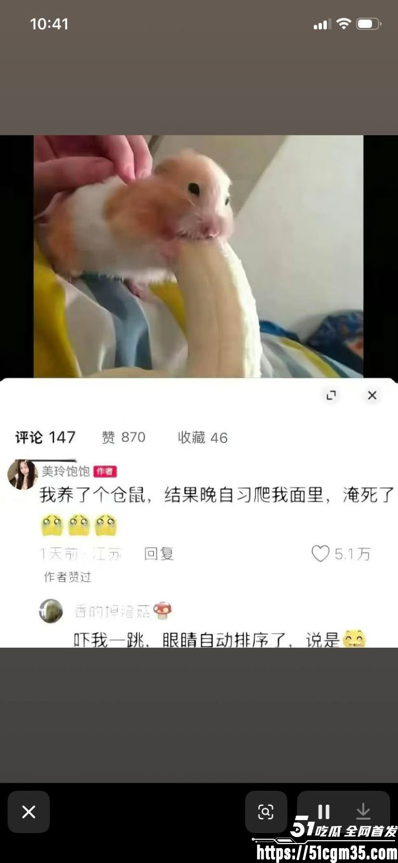 探花女主美玲饱饱与涂涂小布强势回归 9