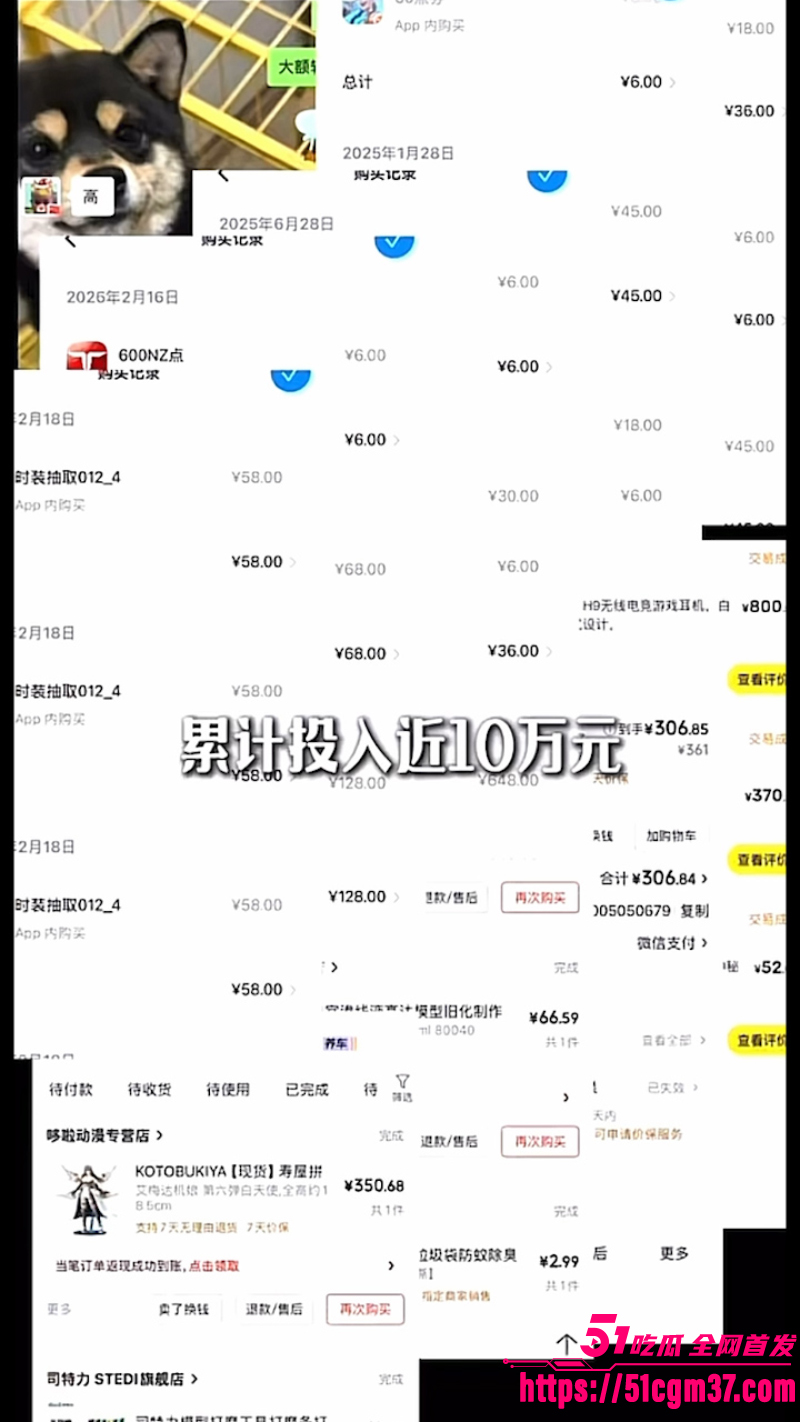 网红情侣 冰冻大狗 声讨男友聊骚多名女孩 1