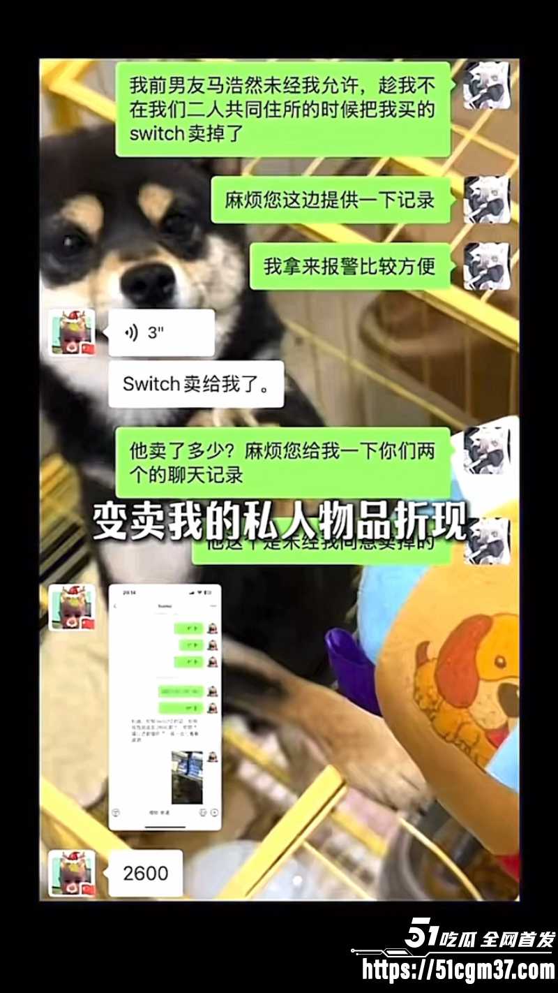 网红情侣 冰冻大狗 声讨男友聊骚多名女孩 3
