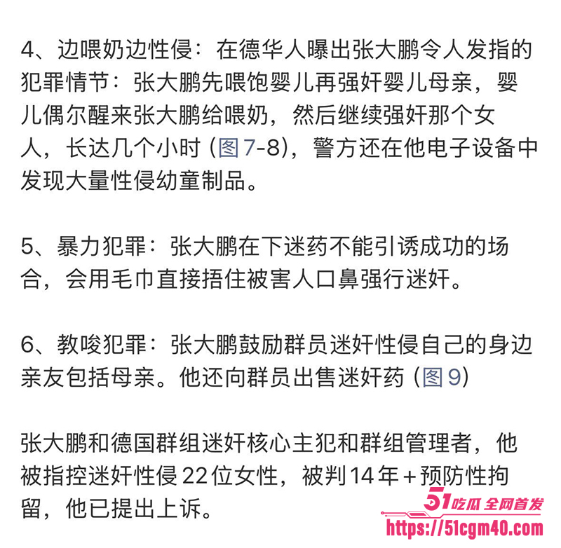 张大鹏德国迷奸案后续 13 拷贝