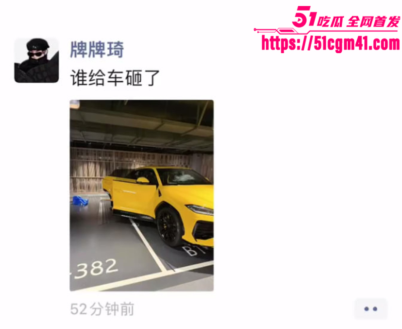 快手老牌网红 牌牌琦迪士尼喂食出轨事件  16