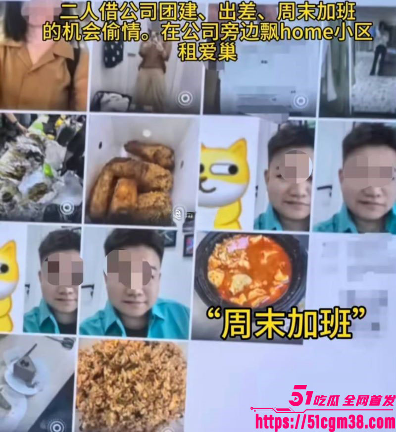 飞鸽电商负责人高文婚内出轨 10