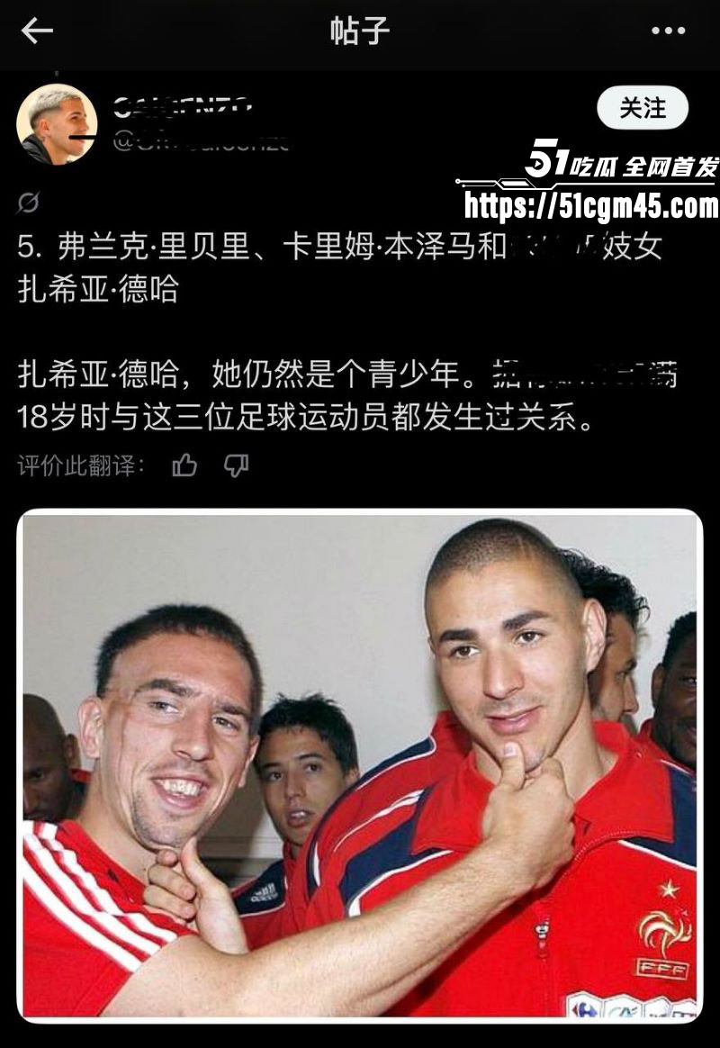 法国国家队世界杯前最大丑闻 2
