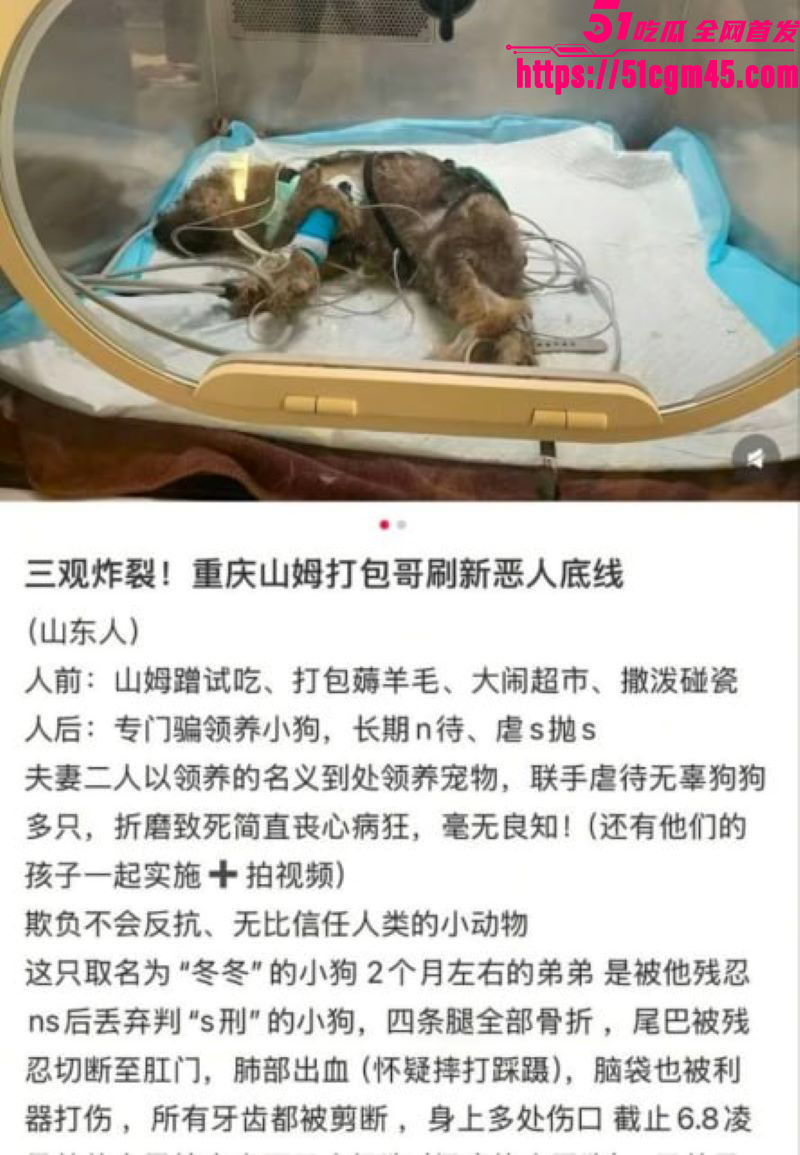 重庆山姆打包哥李萌领养小狗虐杀致死 2