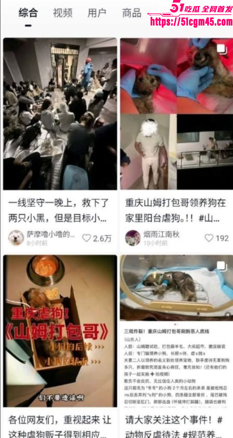 重庆山姆打包哥李萌领养小狗虐杀致死 11
