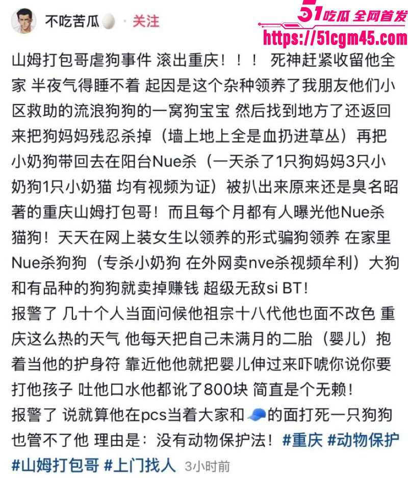 重庆山姆打包哥李萌领养小狗虐杀致死 13