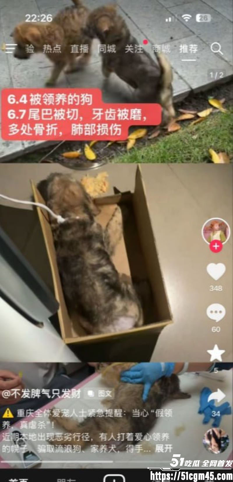 重庆山姆打包哥李萌领养小狗虐杀致死 8