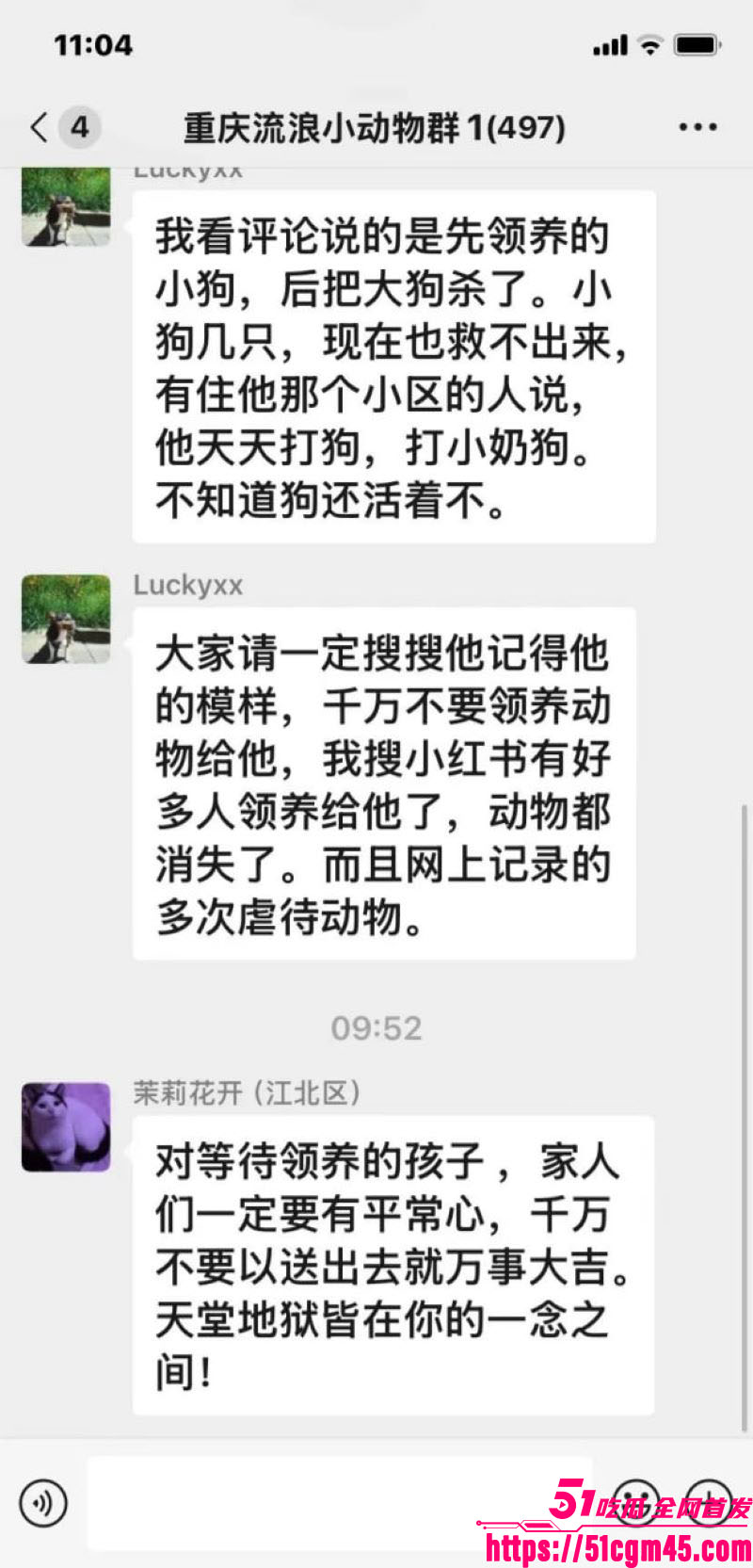 重庆山姆打包哥李萌领养小狗虐杀致死 16