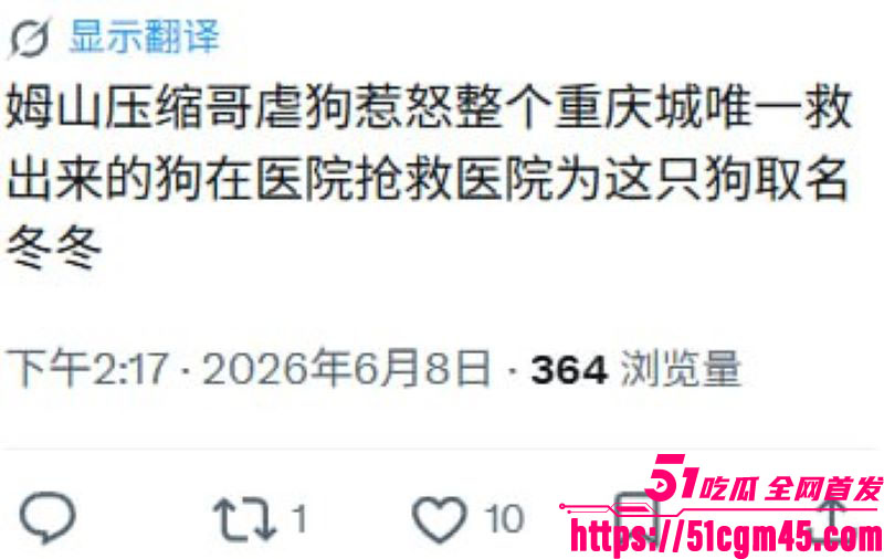 重庆山姆打包哥李萌领养小狗虐杀致死 14