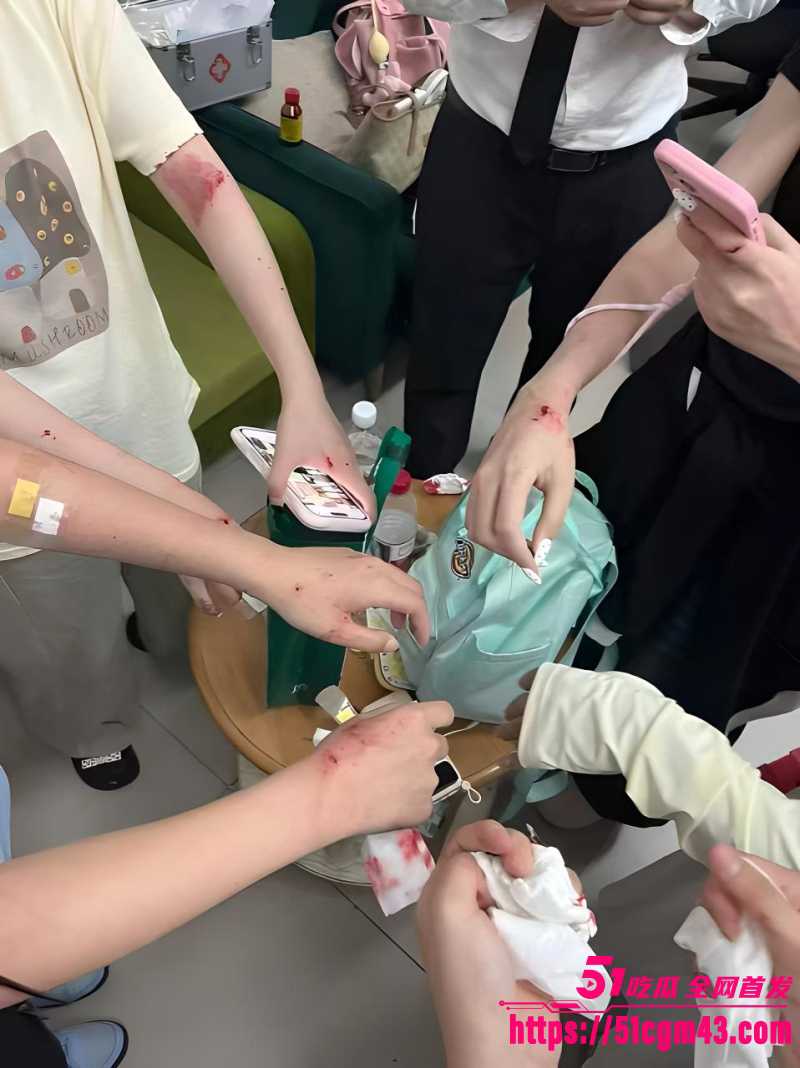 凌赫女粉丝彻底疯狂 5