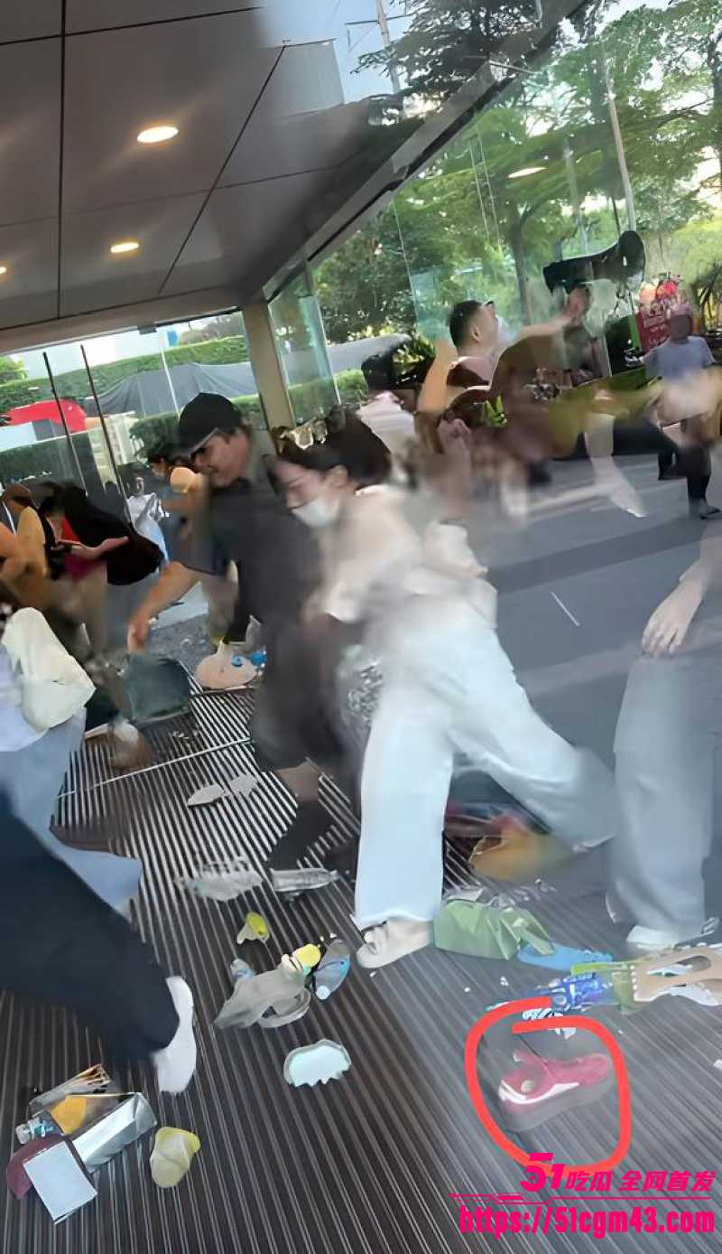 凌赫女粉丝彻底疯狂 11