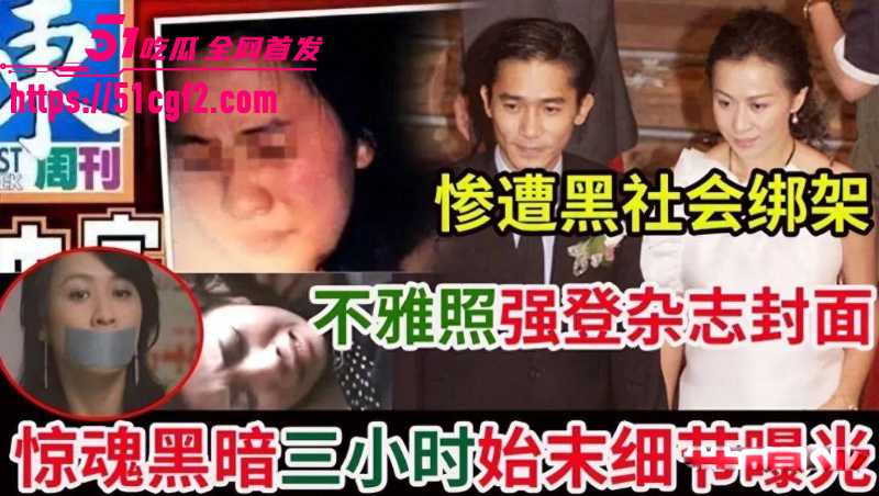 香港明星 陈惠敏重提旧事 绑架黑料重见天日 刘嘉玲竟成港姐替死鬼？