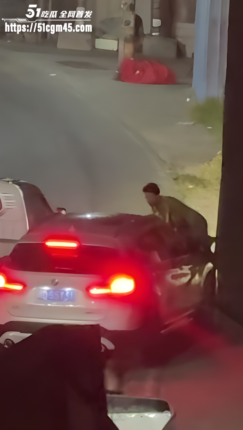 广东男子怒砸宝马车玻璃4