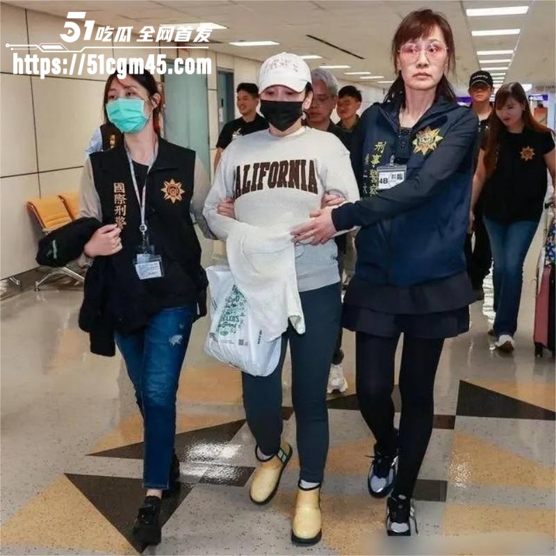 太阳花女王 刘依函遭押解回台湾 2