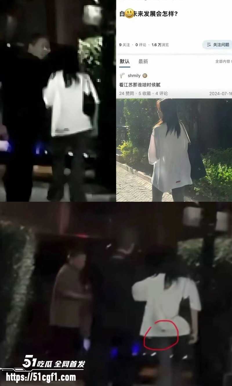 顶流女星 白鹿 与江苏文投董事长王洪俊 4