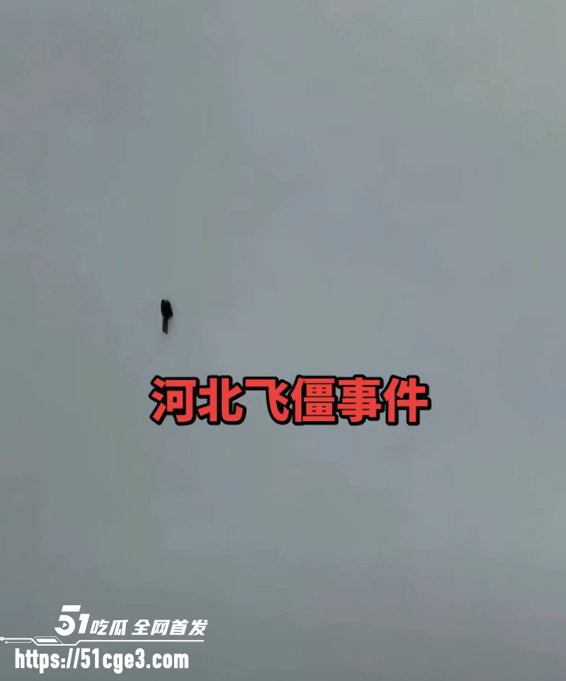 河北飞僵 高空黑影视频疯传  4
