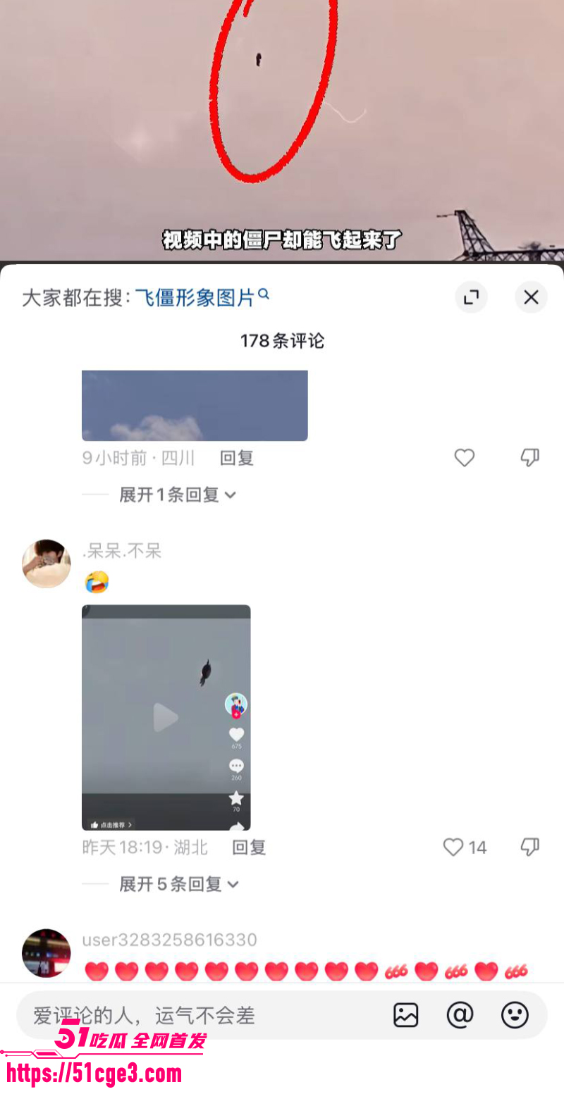 河北飞僵 高空黑影视频疯传  6