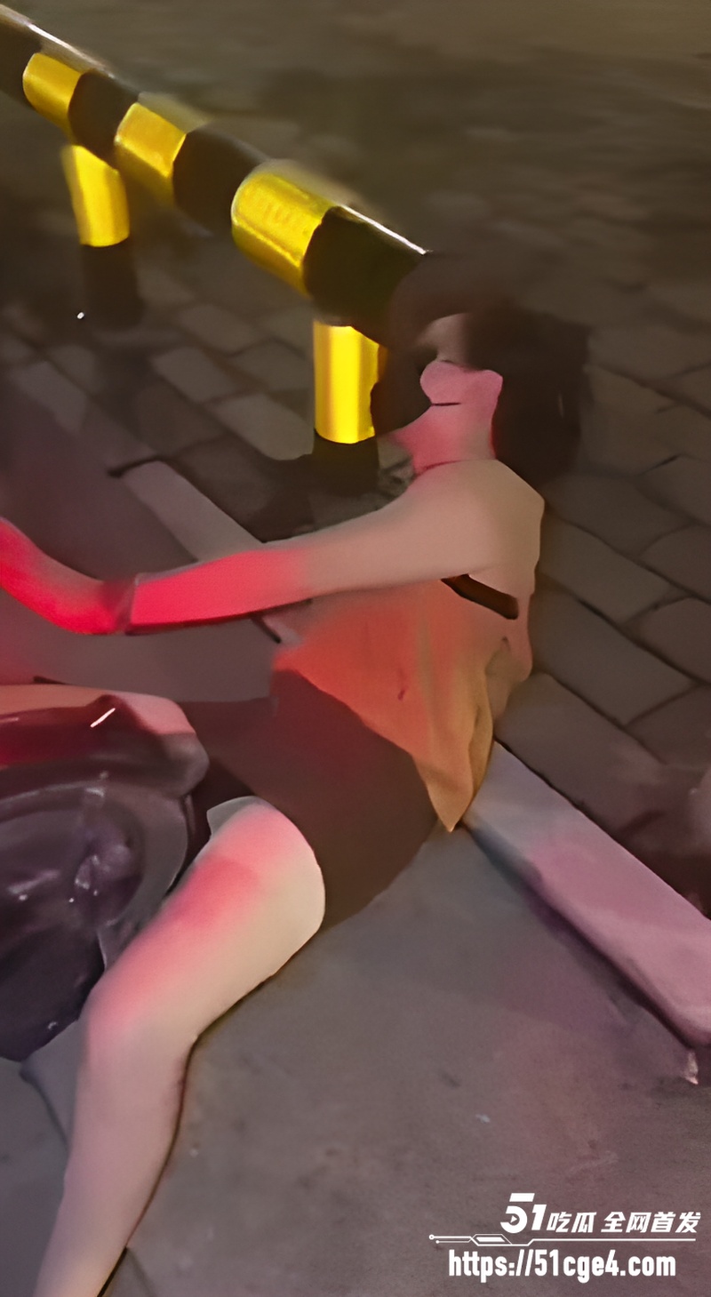 美艳少妇路边上演激情摸逼 3