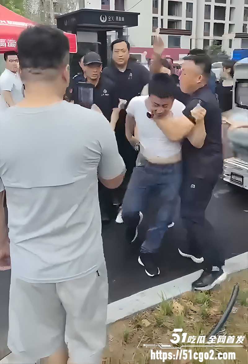 平乡金天凤凰城保安打业主视频曝光 2 拷贝