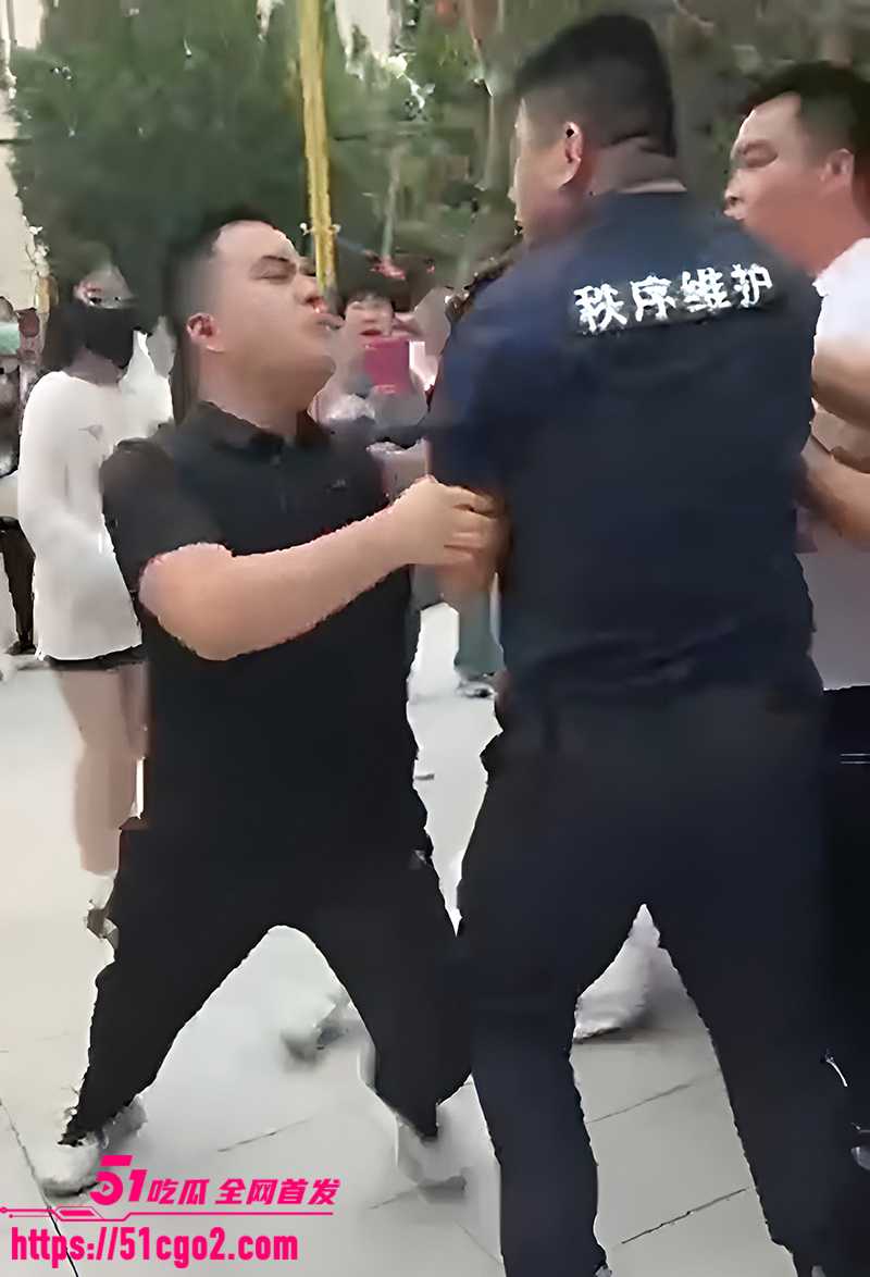 平乡金天凤凰城保安打业主视频曝光 4 拷贝