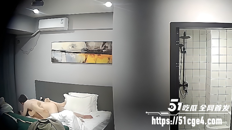 全景偷拍酒店性爱 3