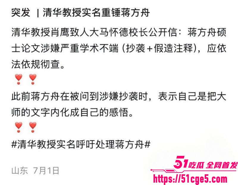 蒋方舟论文造假风波升级 12