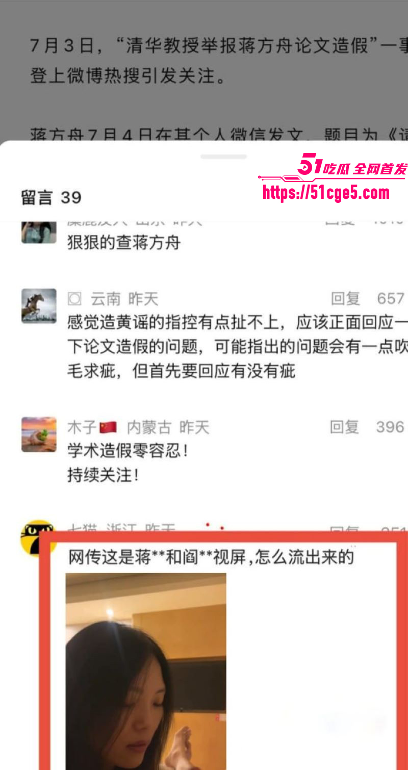 蒋方舟论文造假风波升级 28