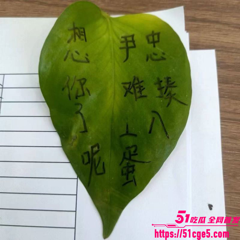 丈夫整理手机发现妻子出轨20年 5