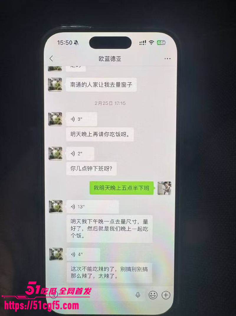 老公查手机发现老婆聊骚出轨 11