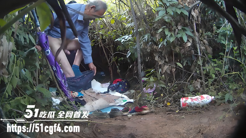 80岁大爷宝刀未老 小树林嫖娼少妇 6