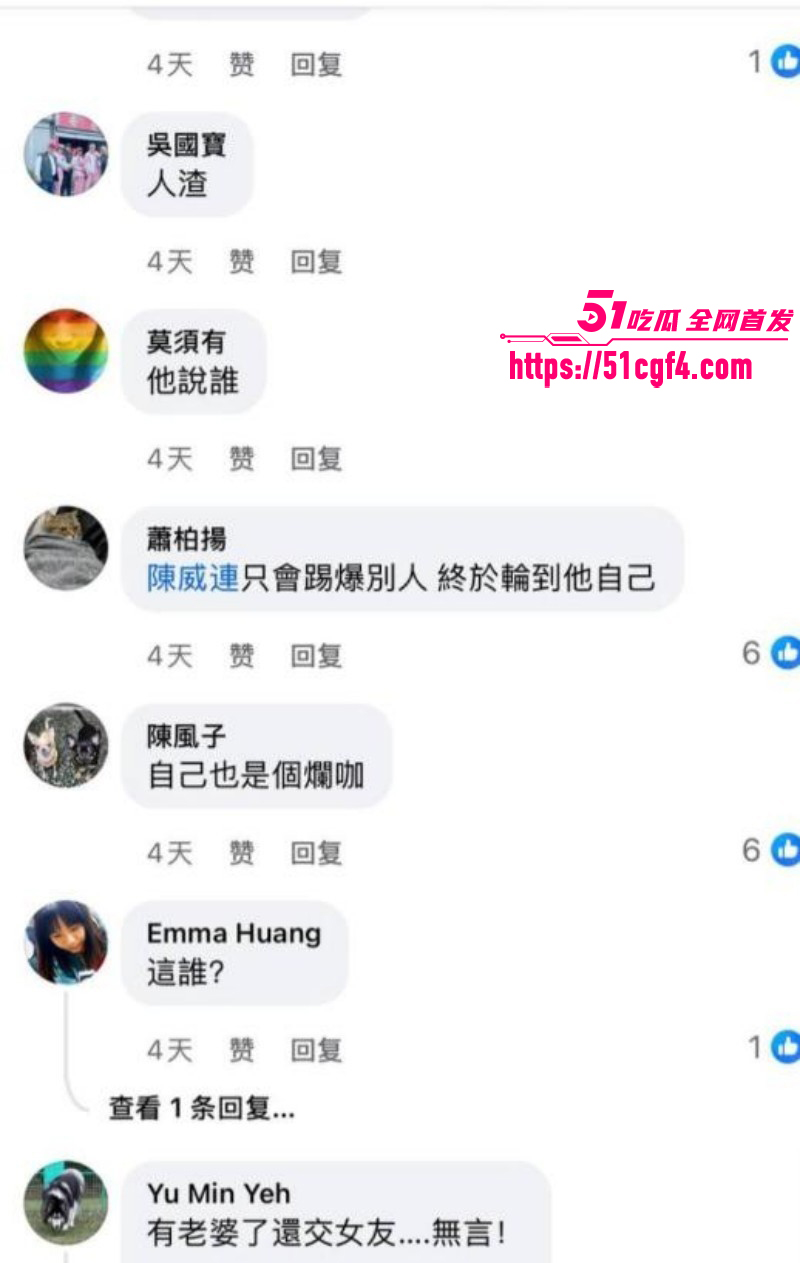 台湾狗仔葛斯齐与女富婆李子恩隐婚024