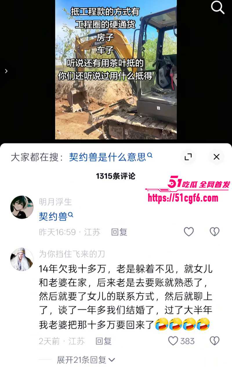 史上最逆天工程款抵债方式016