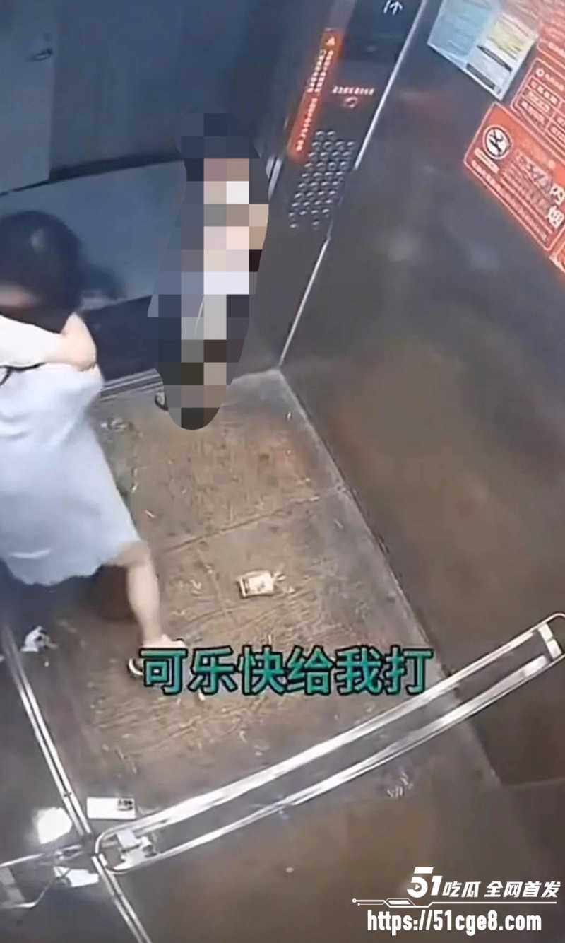 湖北仙桃电梯打人事件09