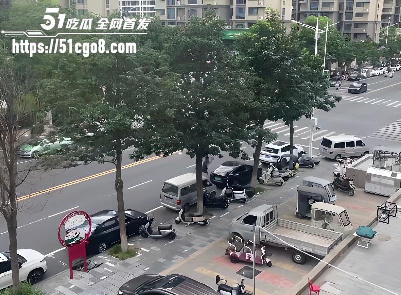 河南郑州男子无故砸车 砸完一条街后竟向特警车辆扔石头 被当场按倒疯狂抵抗