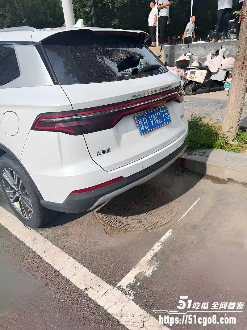 河南郑州男子无故砸车8