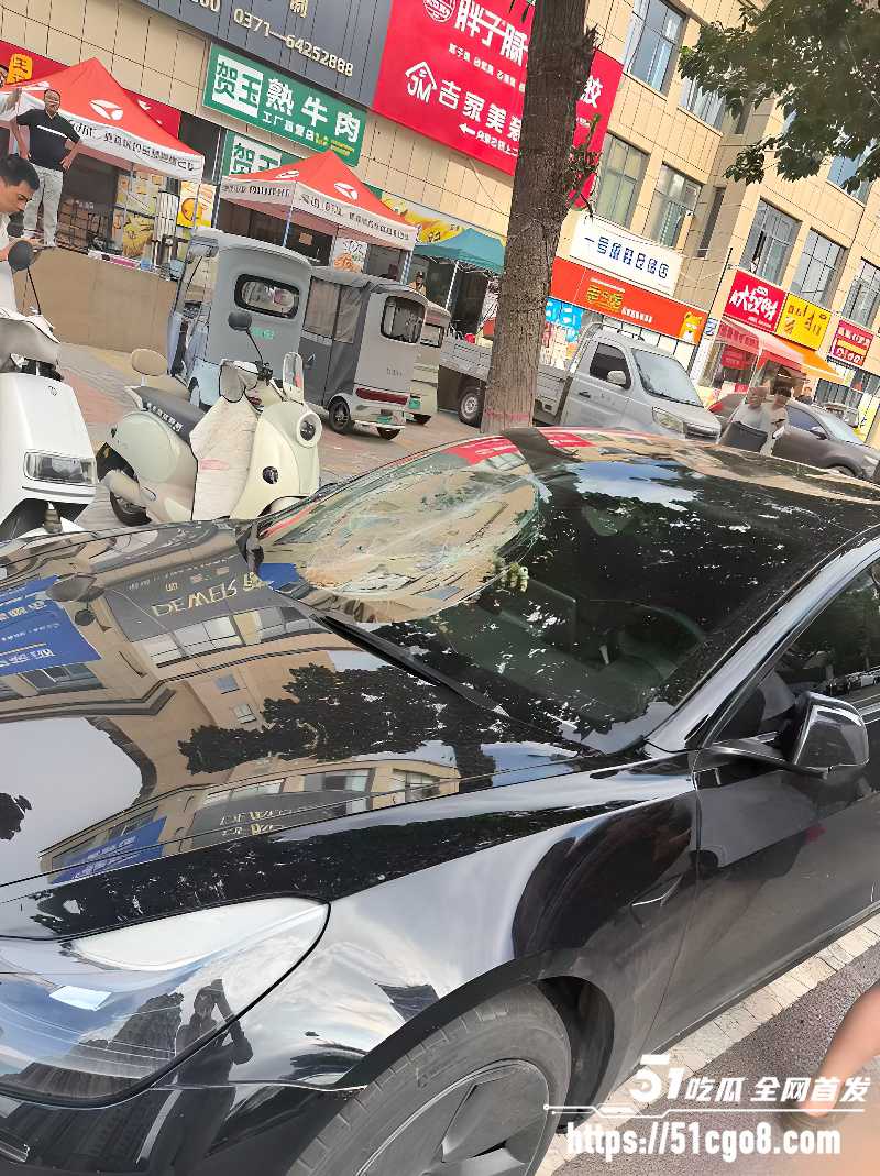 河南郑州男子无故砸车9