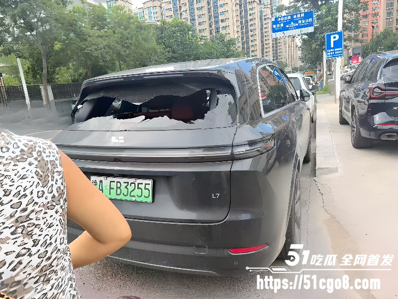 河南郑州男子无故砸车6