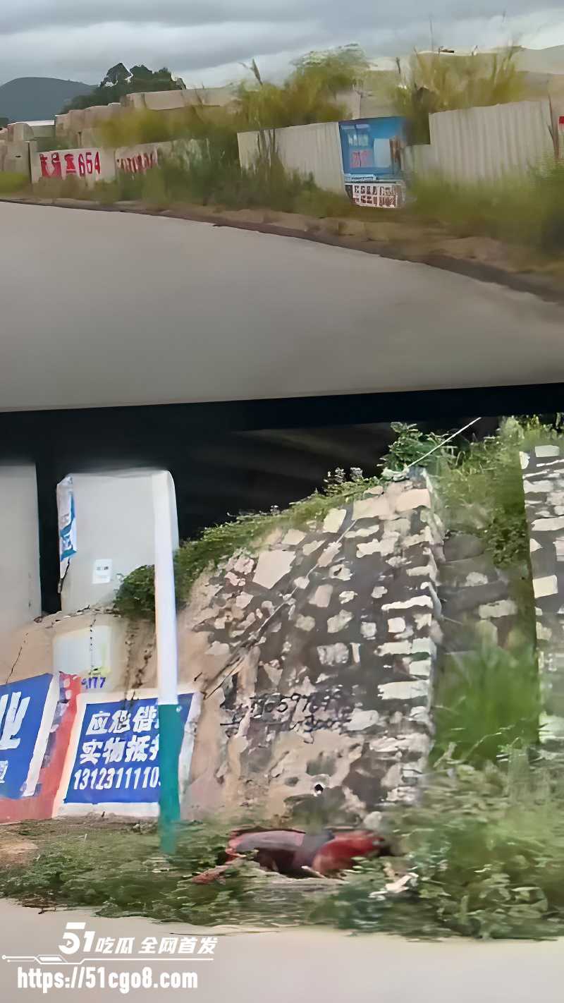 新营分尸案 7